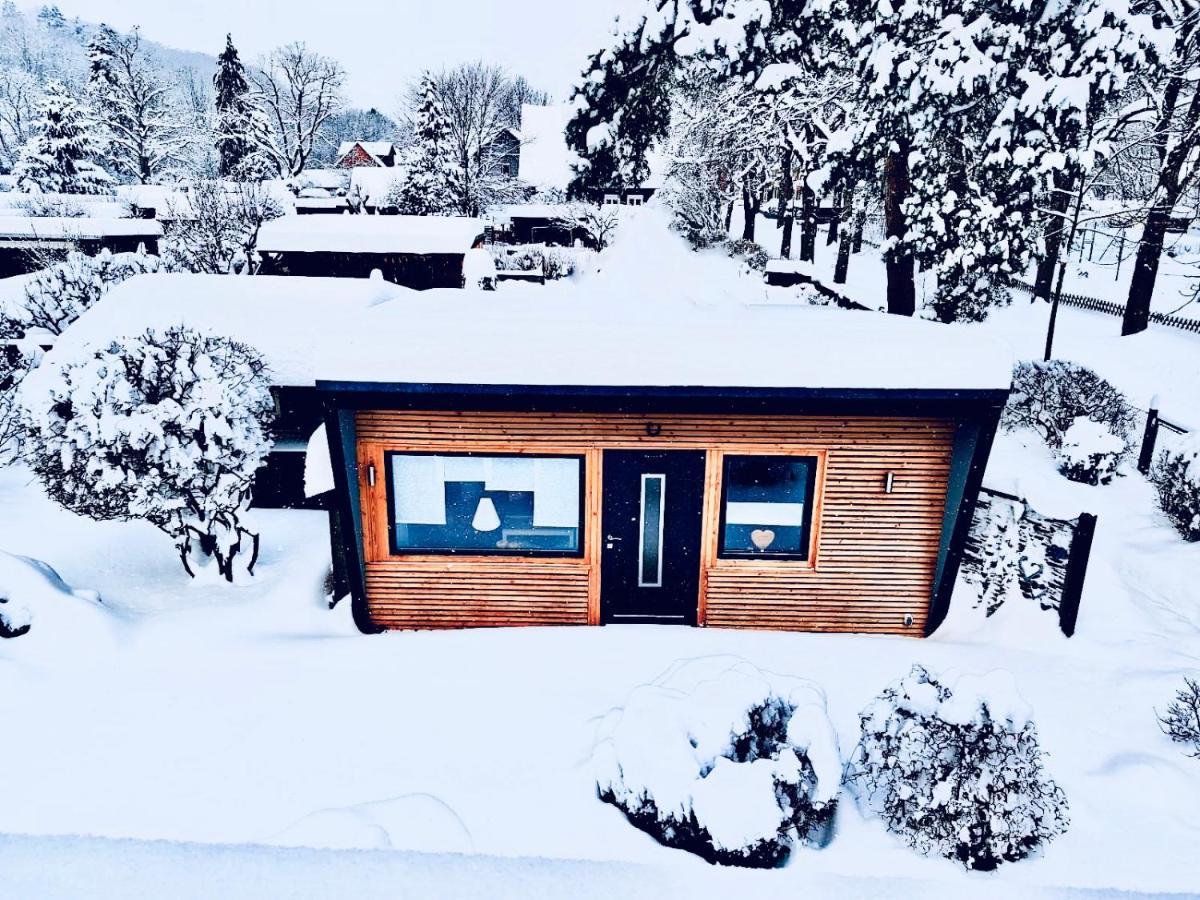 Вилла Das Ferienhaus Am Tiergarten Вернигероде Экстерьер фото